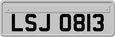 LSJ0813