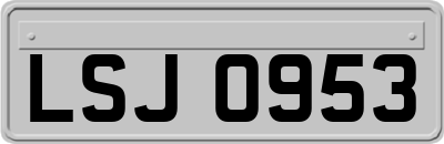 LSJ0953