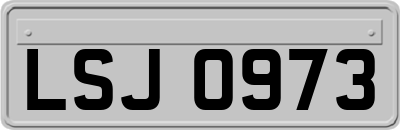 LSJ0973