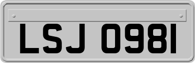 LSJ0981
