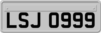 LSJ0999