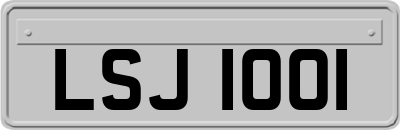 LSJ1001