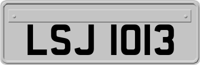 LSJ1013