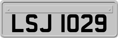 LSJ1029