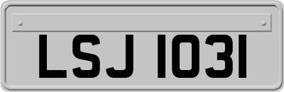 LSJ1031