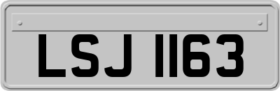 LSJ1163