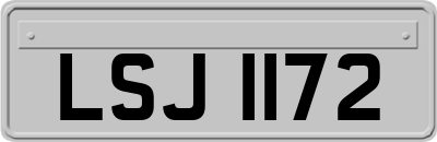 LSJ1172