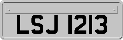 LSJ1213