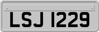 LSJ1229
