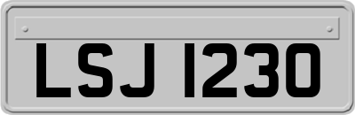 LSJ1230