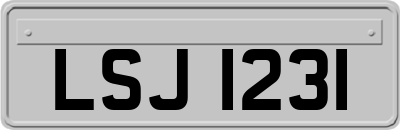 LSJ1231