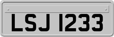 LSJ1233
