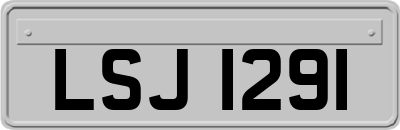 LSJ1291