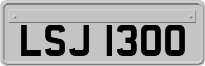 LSJ1300