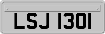 LSJ1301