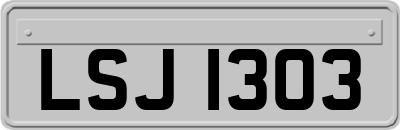 LSJ1303