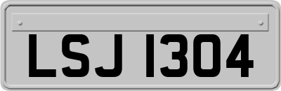 LSJ1304