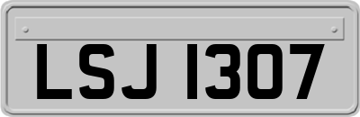 LSJ1307
