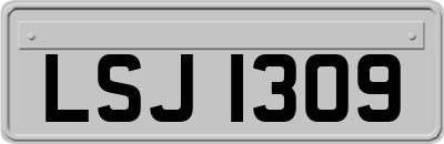 LSJ1309