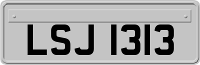 LSJ1313