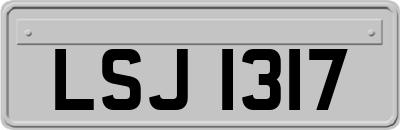 LSJ1317