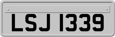 LSJ1339