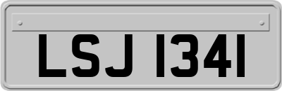 LSJ1341