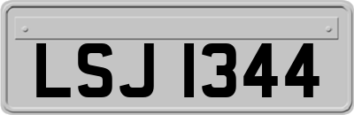 LSJ1344
