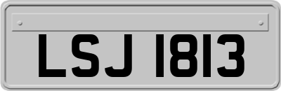 LSJ1813