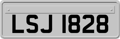 LSJ1828