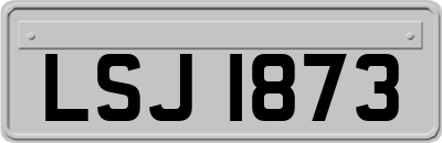 LSJ1873