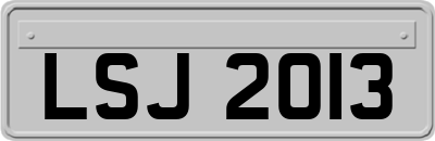 LSJ2013