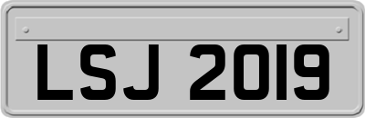 LSJ2019