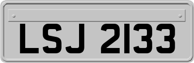 LSJ2133
