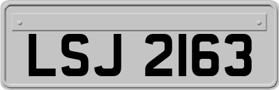 LSJ2163