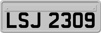 LSJ2309