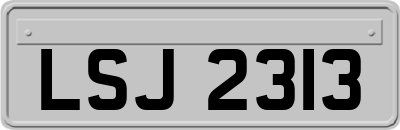LSJ2313
