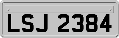 LSJ2384