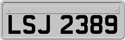 LSJ2389