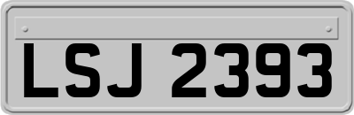 LSJ2393