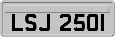 LSJ2501