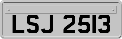 LSJ2513