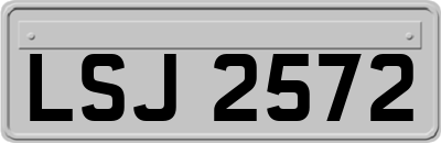 LSJ2572