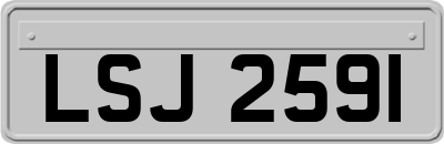 LSJ2591