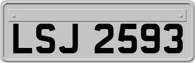 LSJ2593
