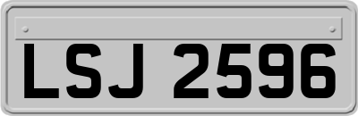 LSJ2596
