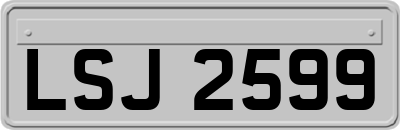 LSJ2599