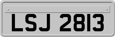 LSJ2813