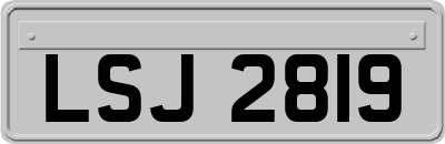 LSJ2819