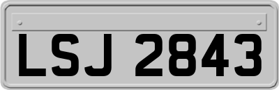 LSJ2843